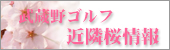 武蔵野ゴルフ近隣桜情報